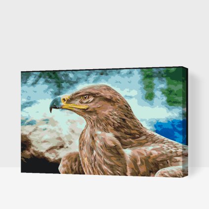 Paint by Number - Raptor