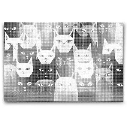 M2_Dotting_Points_-_Cats_wherever_you_look