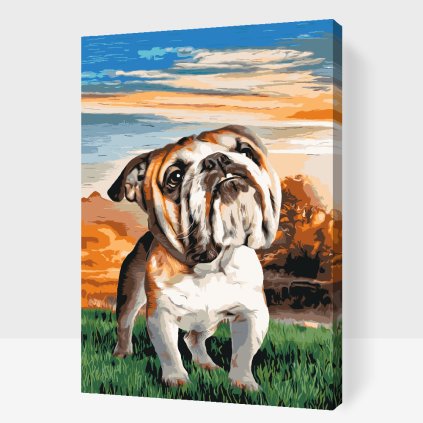 Paint by Number - English Bulldog in the Garden