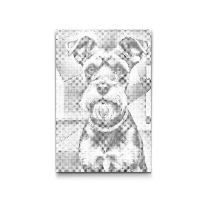 M2_Dotting_Points_-_Schnauzer