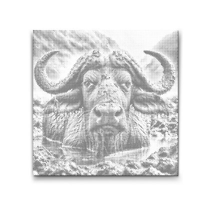 M2_Dotting_Points_-_Water_buffalo