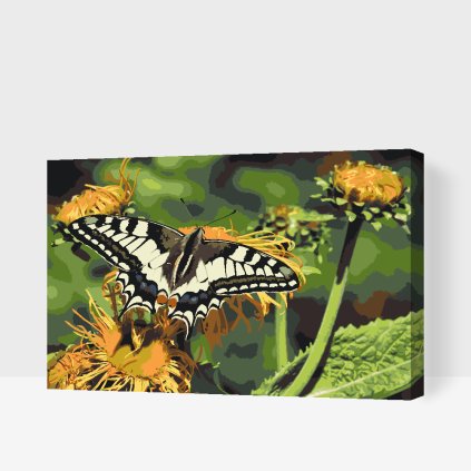 Paint by Number - Butterfly on a Dandelion