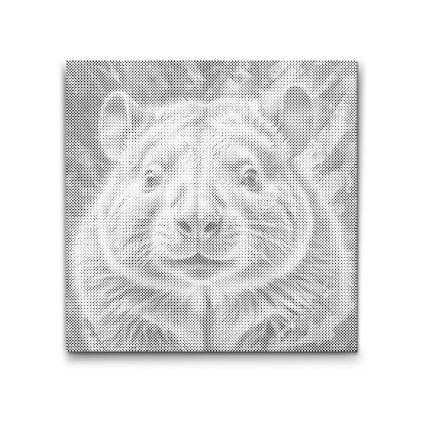 M2_Dotting_Points_-_Wombat_in_shades_of_muted_green