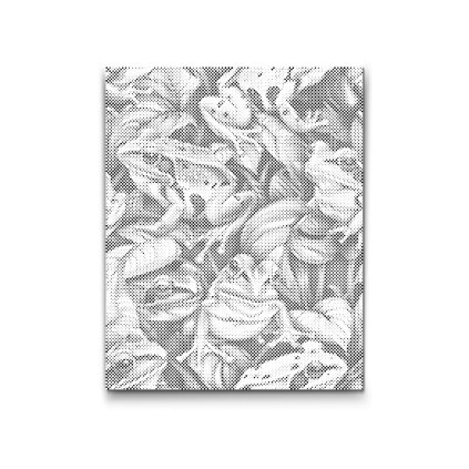 M2_Dotting_Points_-_Colourful_toads