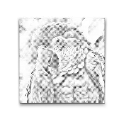 M2_Dotting_Points_-_Parrot_in_shades_of_pink