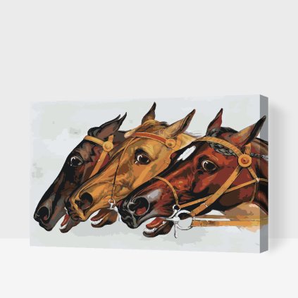 Paint by Number - Racing Horses