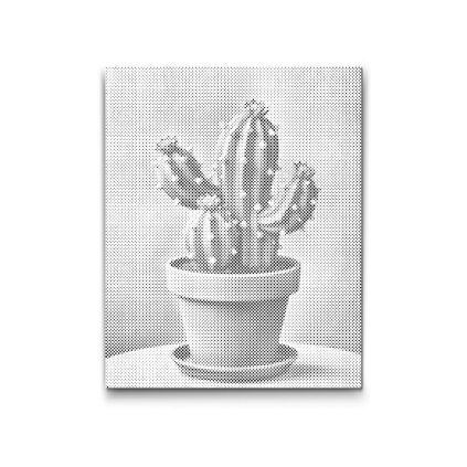 M2_Dotting_Points_-_Cactus_in_a_pot