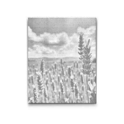 M2_Dotting_Points_-_Lavender_in_the_field