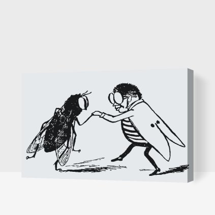 Paint by Number - B/W Bug Dance