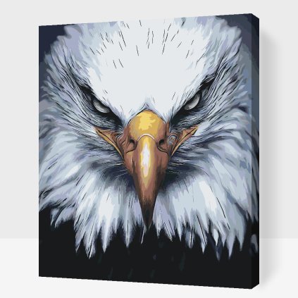 Paint by Number - Eagle Head