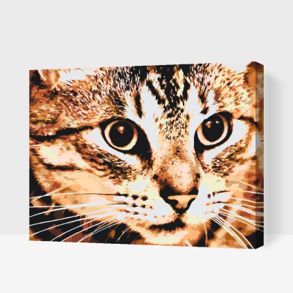 Paint by Number - Tiger Cat