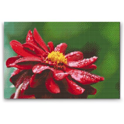 Diamond Painting - Red Dahlia 2