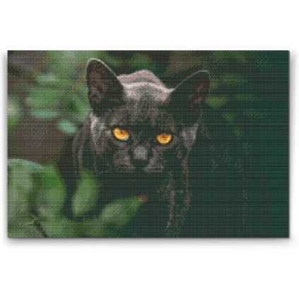 Diamond Painting - Black Cat