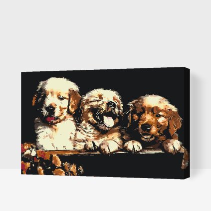 Paint by Number - Retriver Puppies