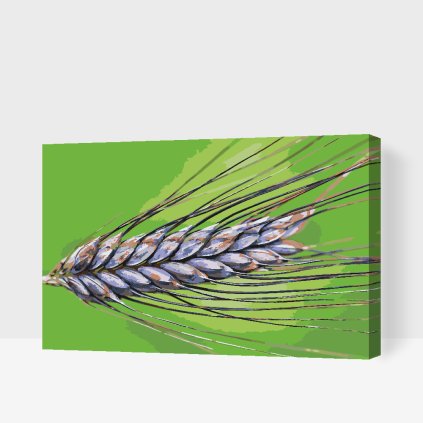 Paint by Number - Grain