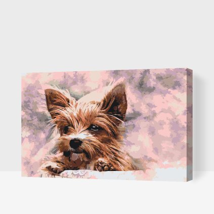 Paint by Number - Yorskshire