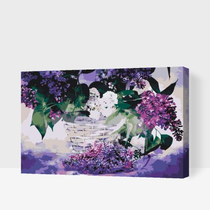 Paint by Number - Lilac
