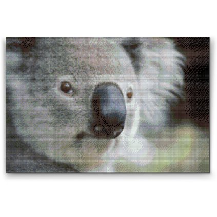 Diamond Painting - Koala Bear