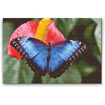 Diamond Painting - Butterfly on a Red Flower