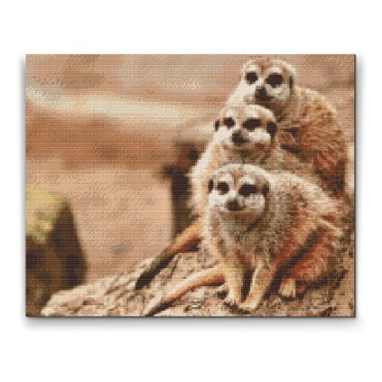 Diamond Painting - Safari Meerkats