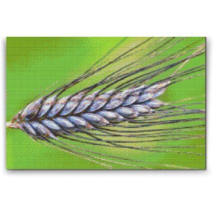 Diamond Painting - Grain