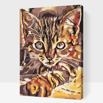 Paint by Number - Curious Kitten