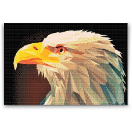 Diamond Painting - Eagle with a Yellow Beak