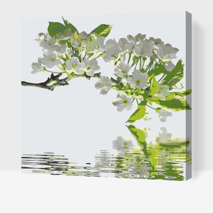 Paint by Number - Cherry Twig