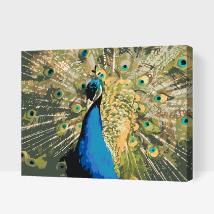 Paint by Number - Peacock