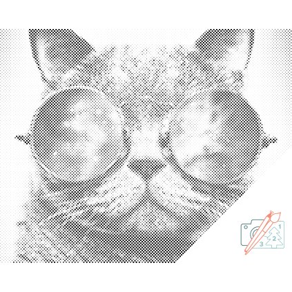 Dotting points - Party Cat