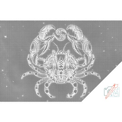 Dotting points - Cancer