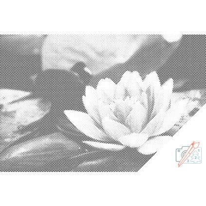 Dotting points - Water Lily