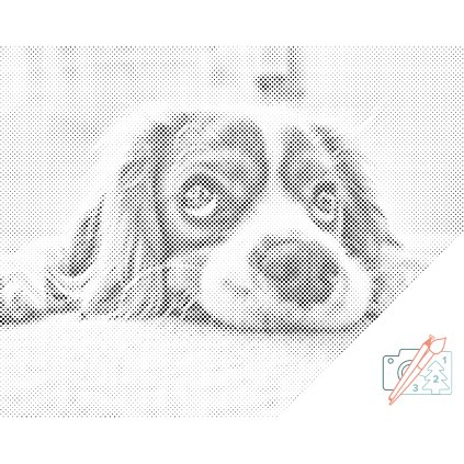 Dotting points - Cute Dog