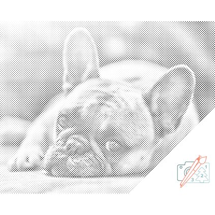 Dotting points - Bulldog