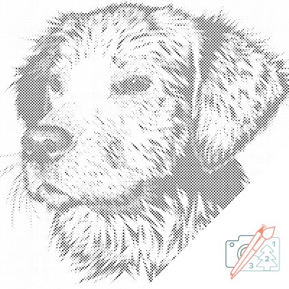 Dotting points - Illustration of Dog