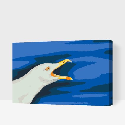 Paint by Number - Seagul