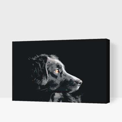 Paint by Number - Dog Look