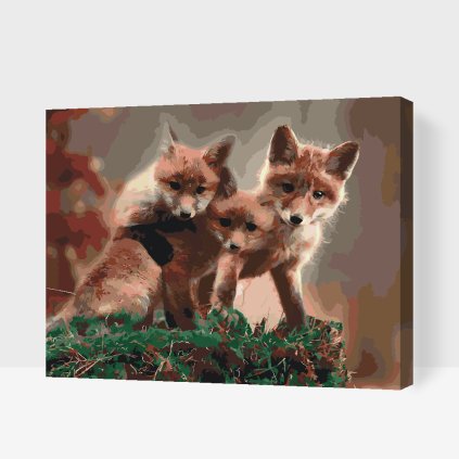 Paint by Number - Fox Cub