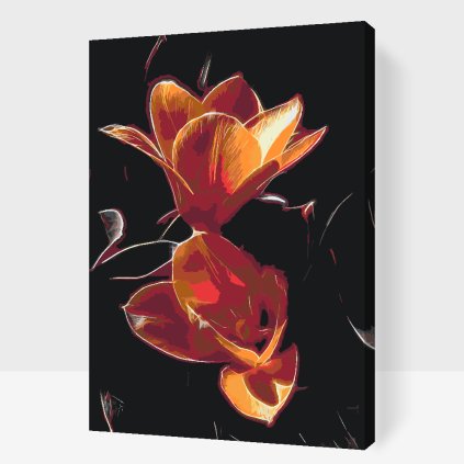 Paint by Number - Tulip