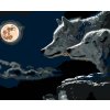 Paint by Number - Wolves