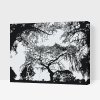Paint by Number - Silhouette of Trees