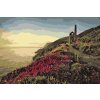Paint by Number - Cornwall, Great Britain