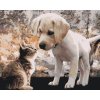 Paint by Number - Puppy and Kitty