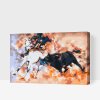 Paint by Number - Bullfighting