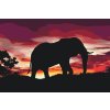 Paint by Number - African Elephant at Sunset