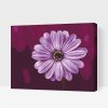 Paint by Number - Gerebera in Purple Colour