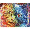 Paint by Number - Colorful Cat 3