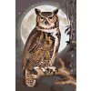 Paint by Number - Wise Owl