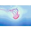 Diamond Painting - Pink Jellyfish