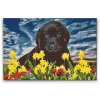 Diamond Painting - Labrador Puppy